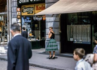 Rhinoceros, a Auccessful Conservation Story in India